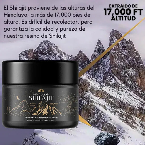 Shilajit del Himalaya Natural 100%